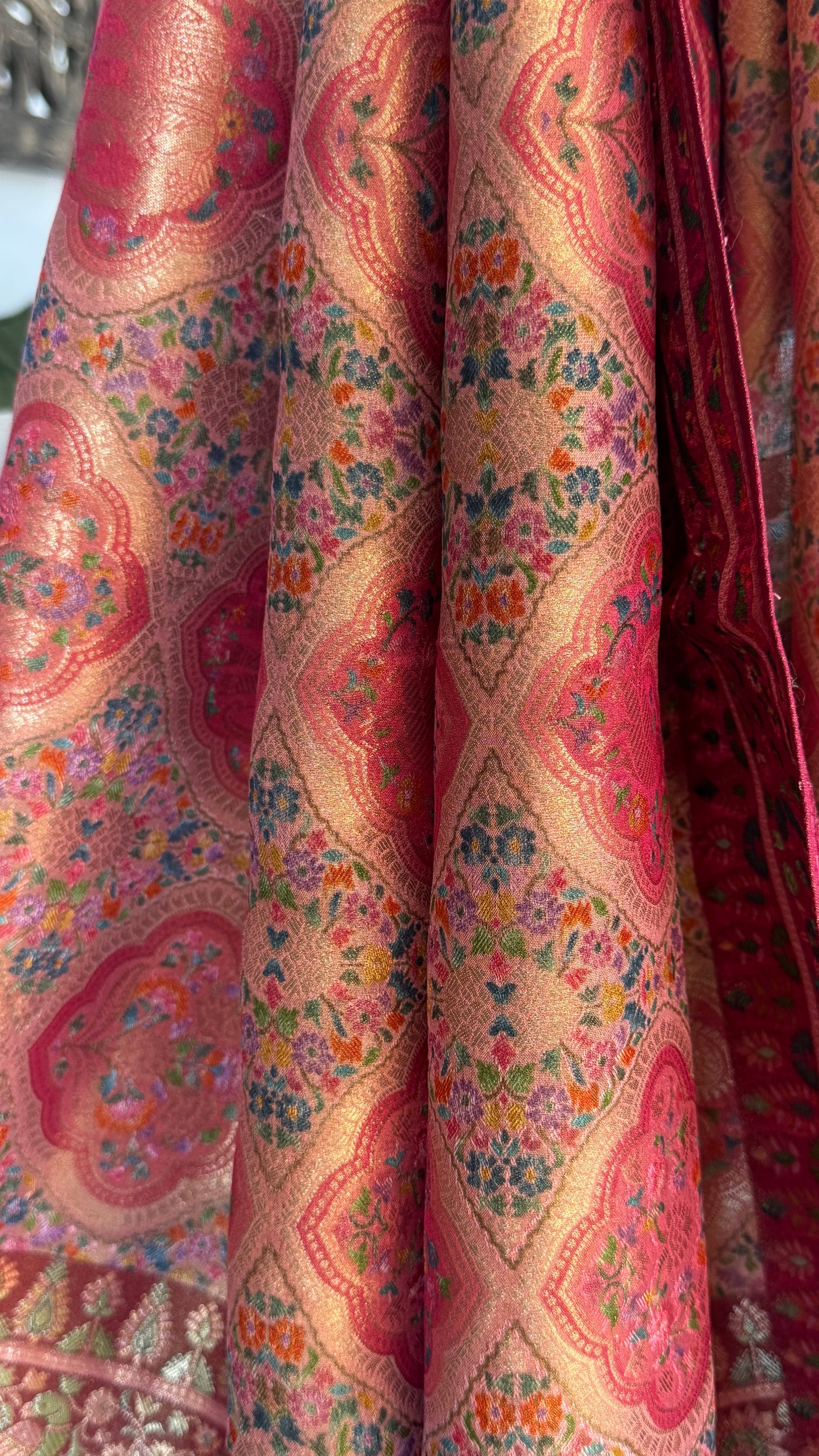 Soft Tissue Kashmiri Pashmina Saree - Nude