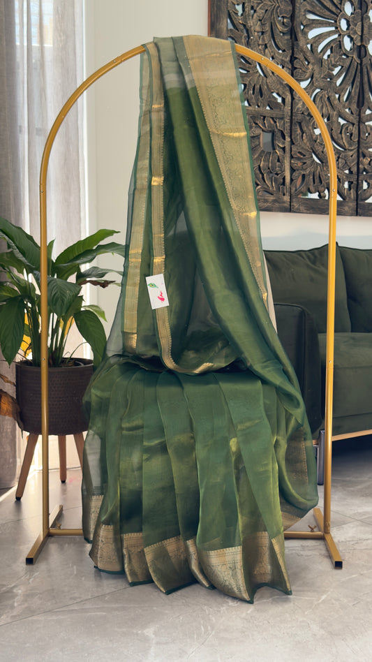 Pure Tissue Silk β Algae Green and Gold Banarasi Border