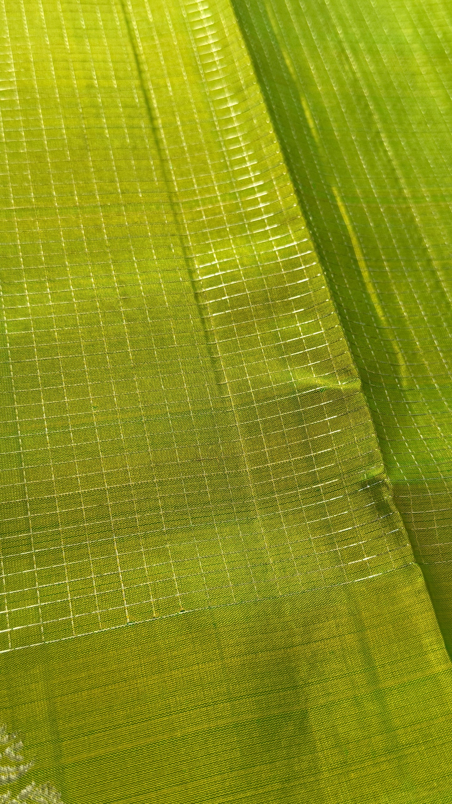 KANJIVARAM PURE SILK HANDLOOM SAREE in Green and contrast Rama Blue border