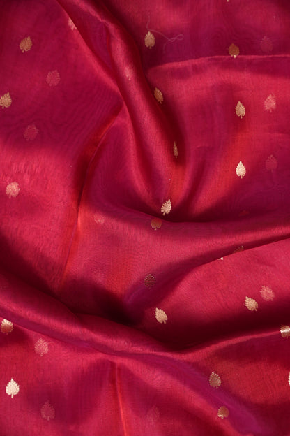 Red Tissue Organza Pure Silk Saree