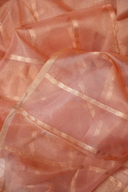 Peach Tissue Organza Pure Silk Saree