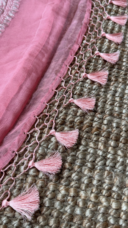 Pure Khaddi Chiffon Banarasi Silk Saree – Pink