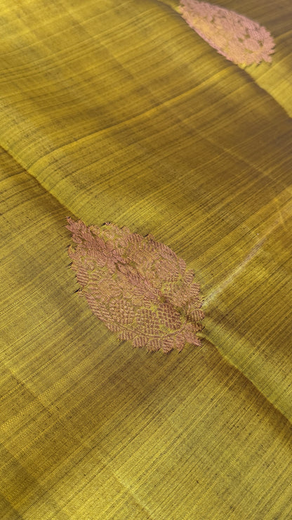 KANJIVARAM PURE SILK HANDLOOM SAREE in Olive Green and contrast Royal Blue Border and Pallu (Copy)