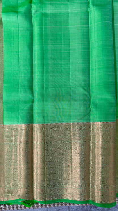 Pure Handloom Kanchivaram Silk Saree with Silver Zari Motifs and Double-Sided Border - Green