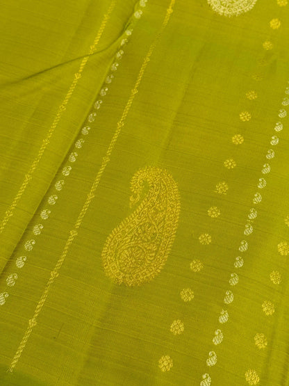 KANJIVARAM PURE SILK BORDERLESS SAREE – PARROT GREEN WITH MAGENTA PALLU