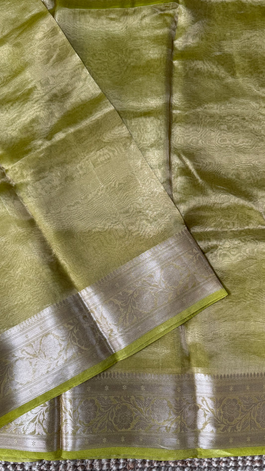 Pure Tissue Silk Saree in Light Olive Green with Banarasi Gold Zari Border