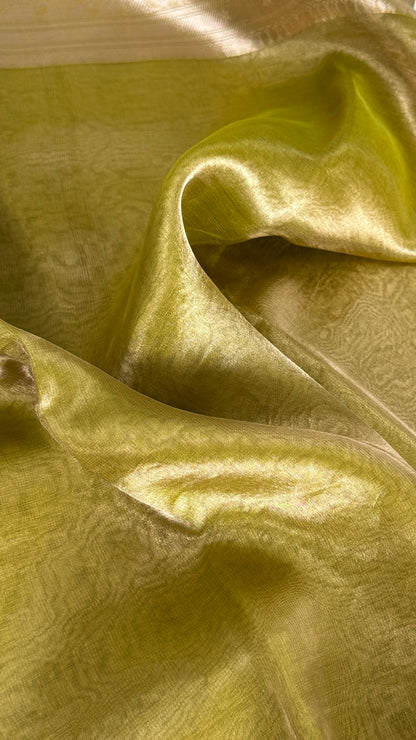 Pure Tissue Silk Saree in Light Olive Green with Banarasi Gold Zari Border