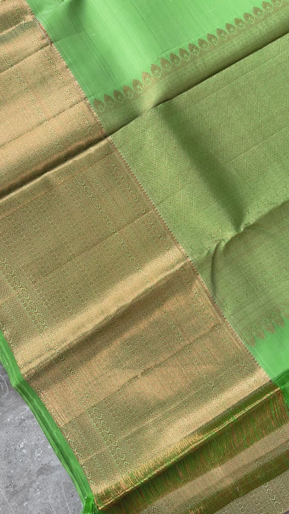 Pure Handloom Kanchivaram Silk Saree with Silver Zari Motifs and Double-Sided Border - Green